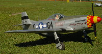 Mustang_small.jpg