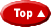 r/c pilot return to top